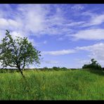 Die Rhöner Landschaft