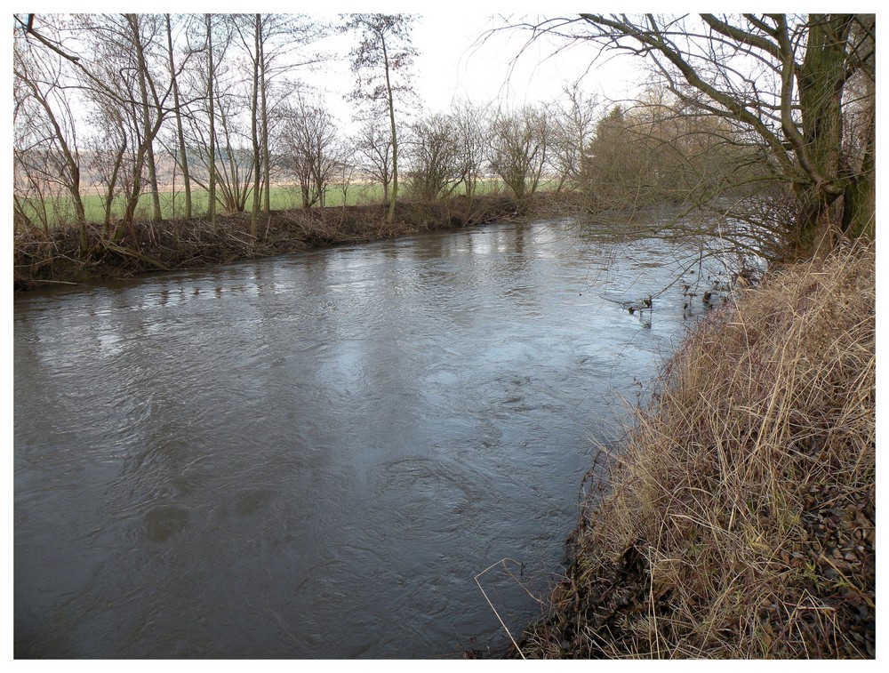 Die Rhume führt Hochwasser.