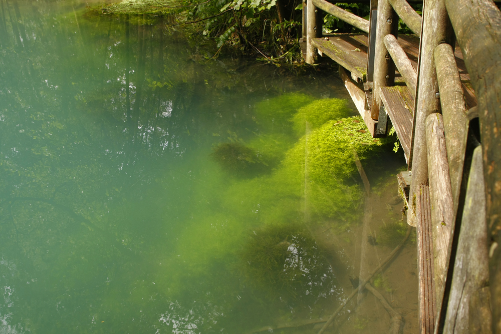 Die Rhumequelle (4) Foto & Bild landschaft, bach, fluss & see, see