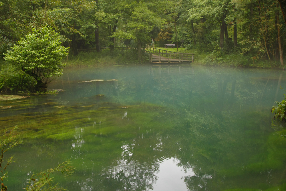 Die Rhumequelle im Harz (2) Foto & Bild landschaft, bach, fluss & see