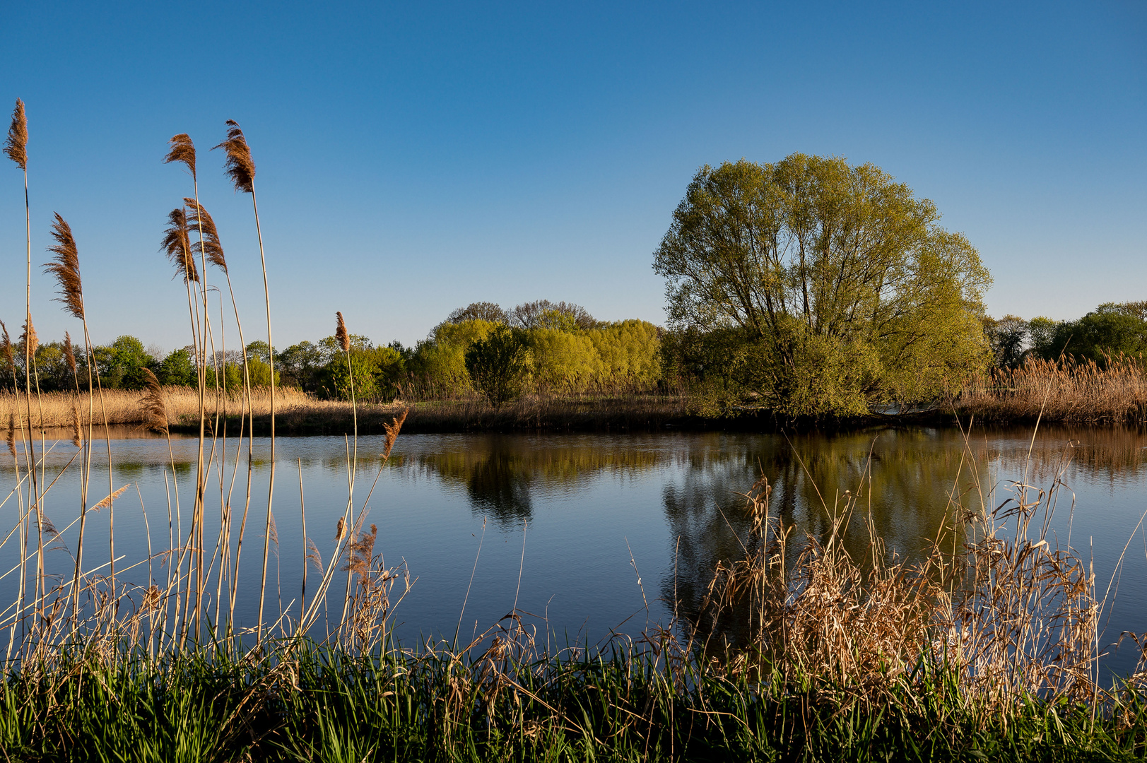 Die Rieselfelder in Braunschweig (3)