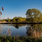 Die Rieselfelder in Braunschweig (3)