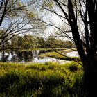 Die Rieselfelder in Braunschweig (4)