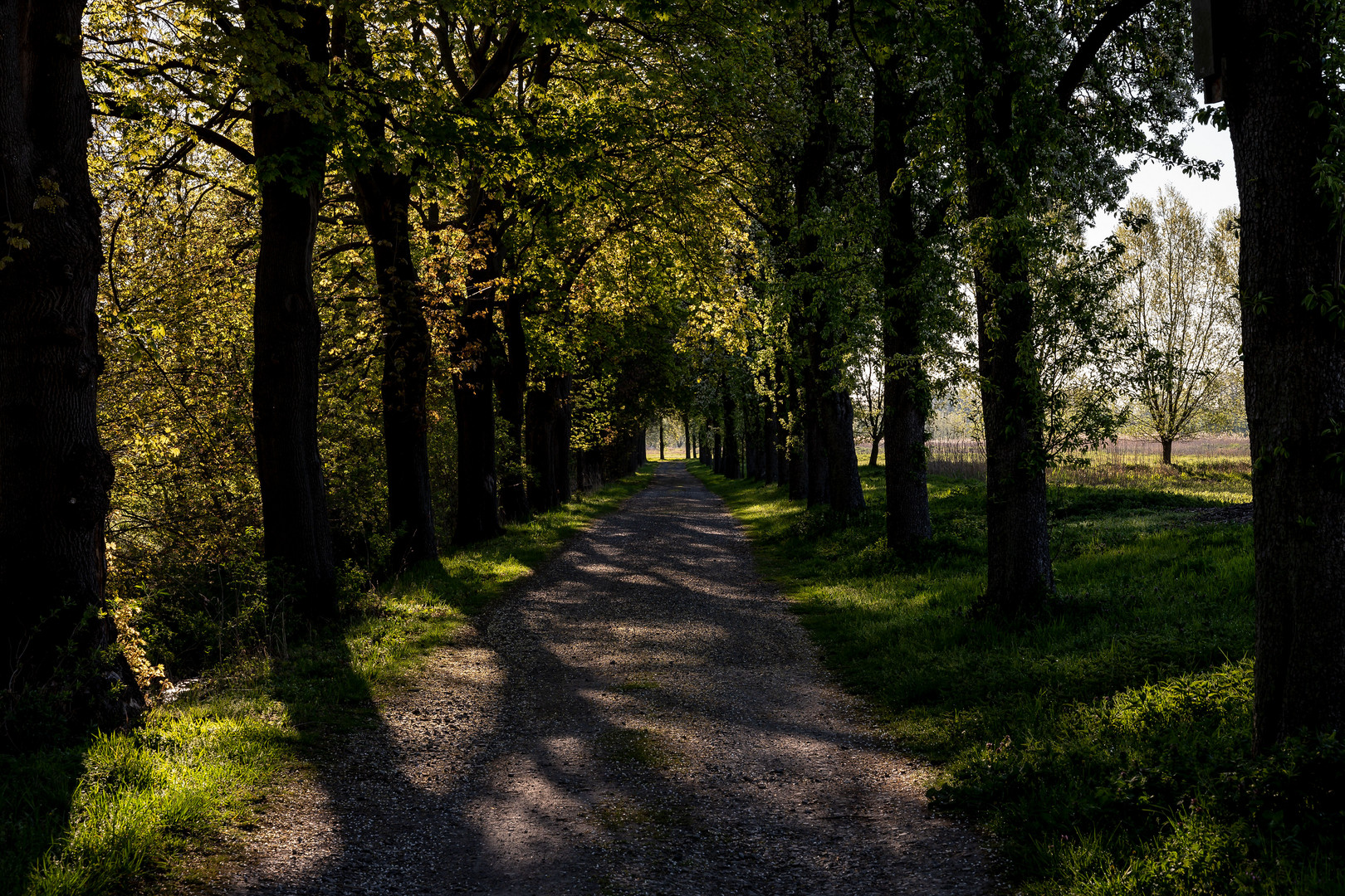 Die Rieselfelder in Braunschweig (5)