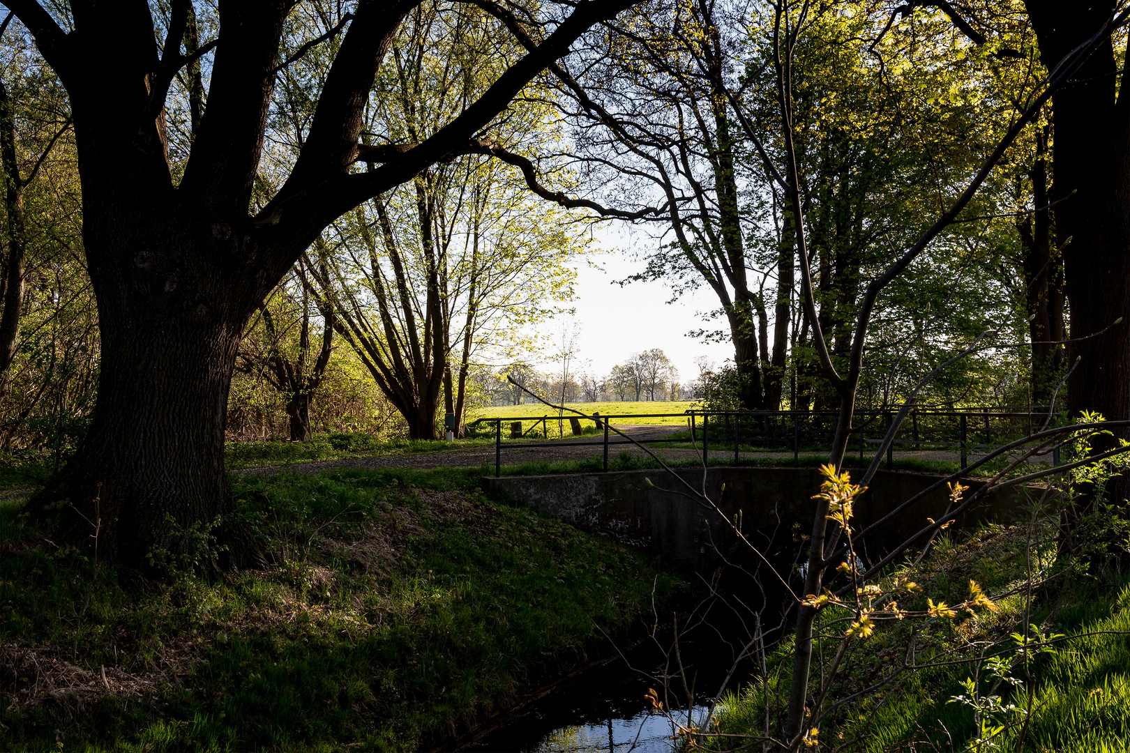 Die Rieselfelder in Braunschweig (6)