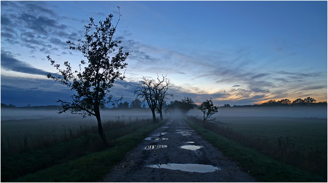 Die Rieselfelder zur Blauen Stunde