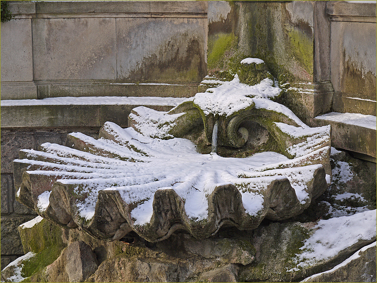 Die Riesen-Schneemuschel