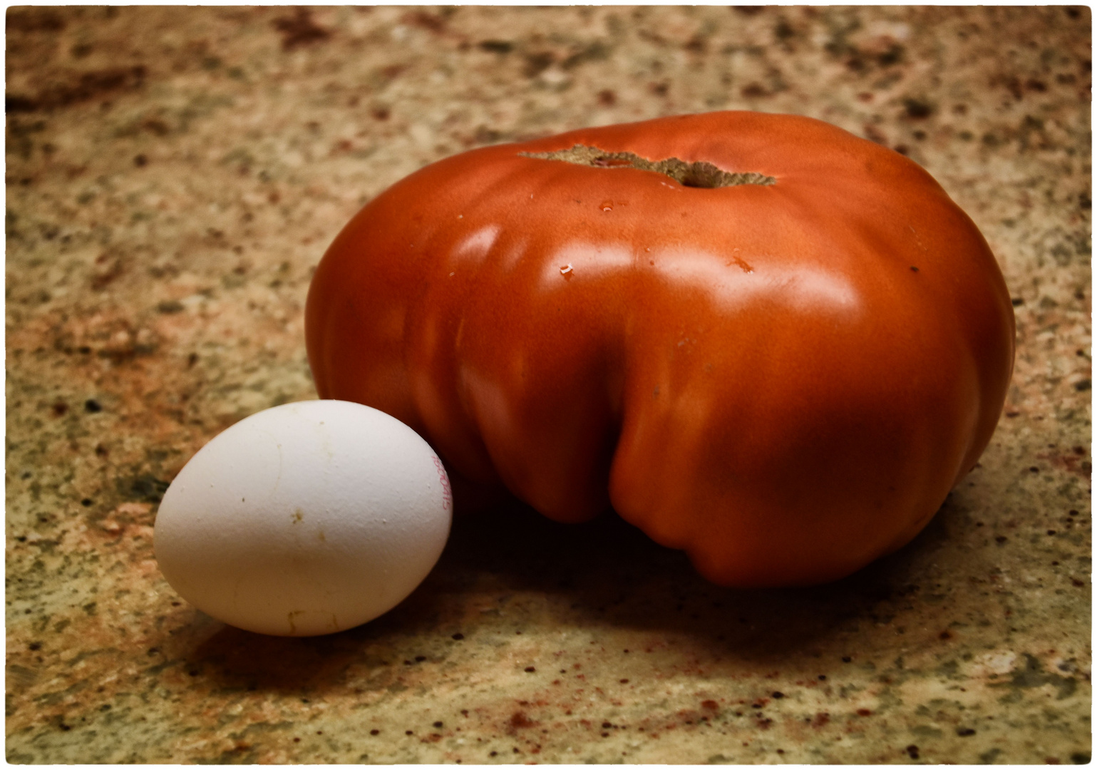 die riesen Tomate