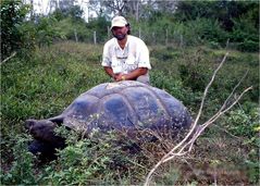 Die Riesen von Galapagos