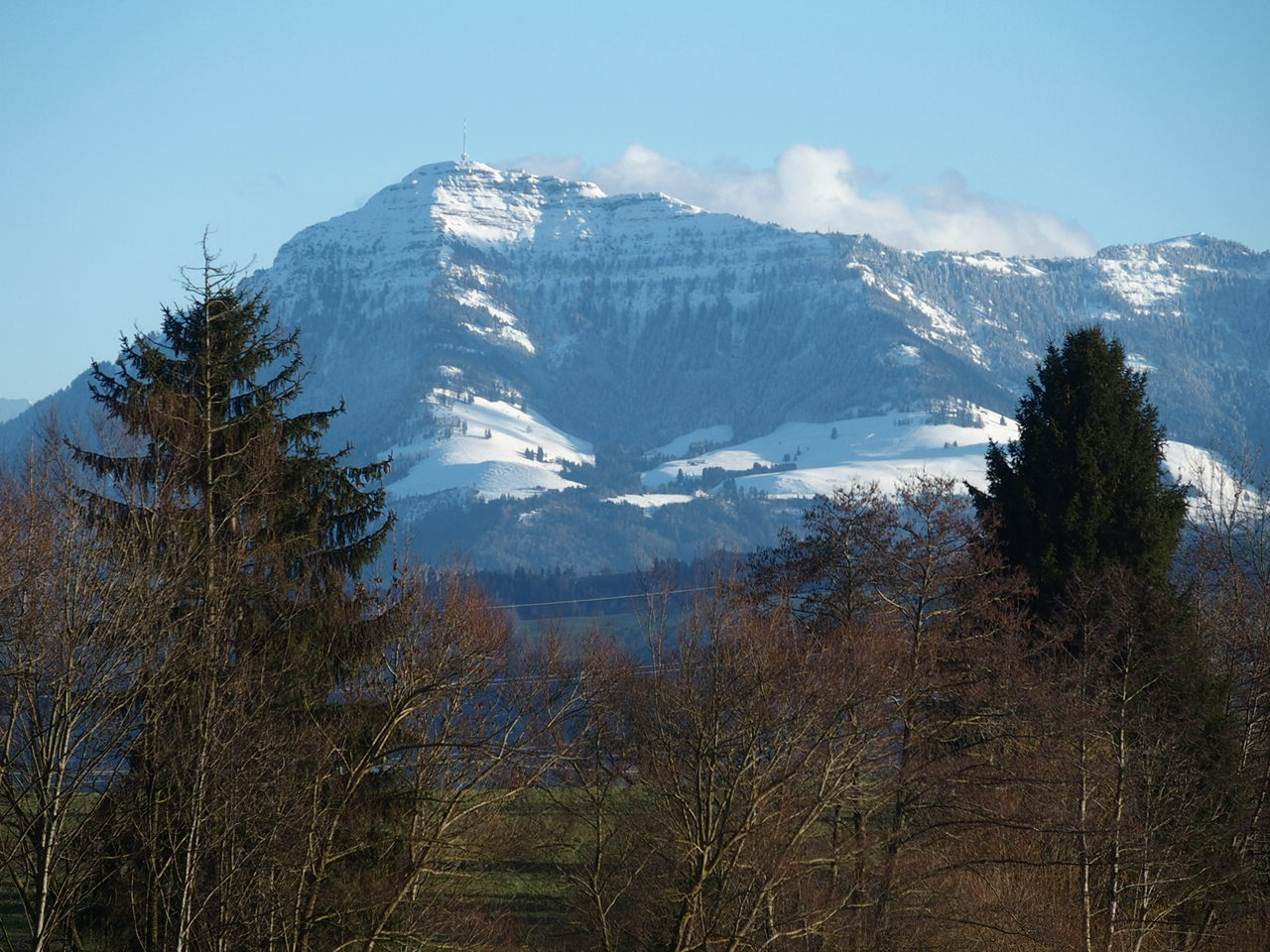 Die Rigi