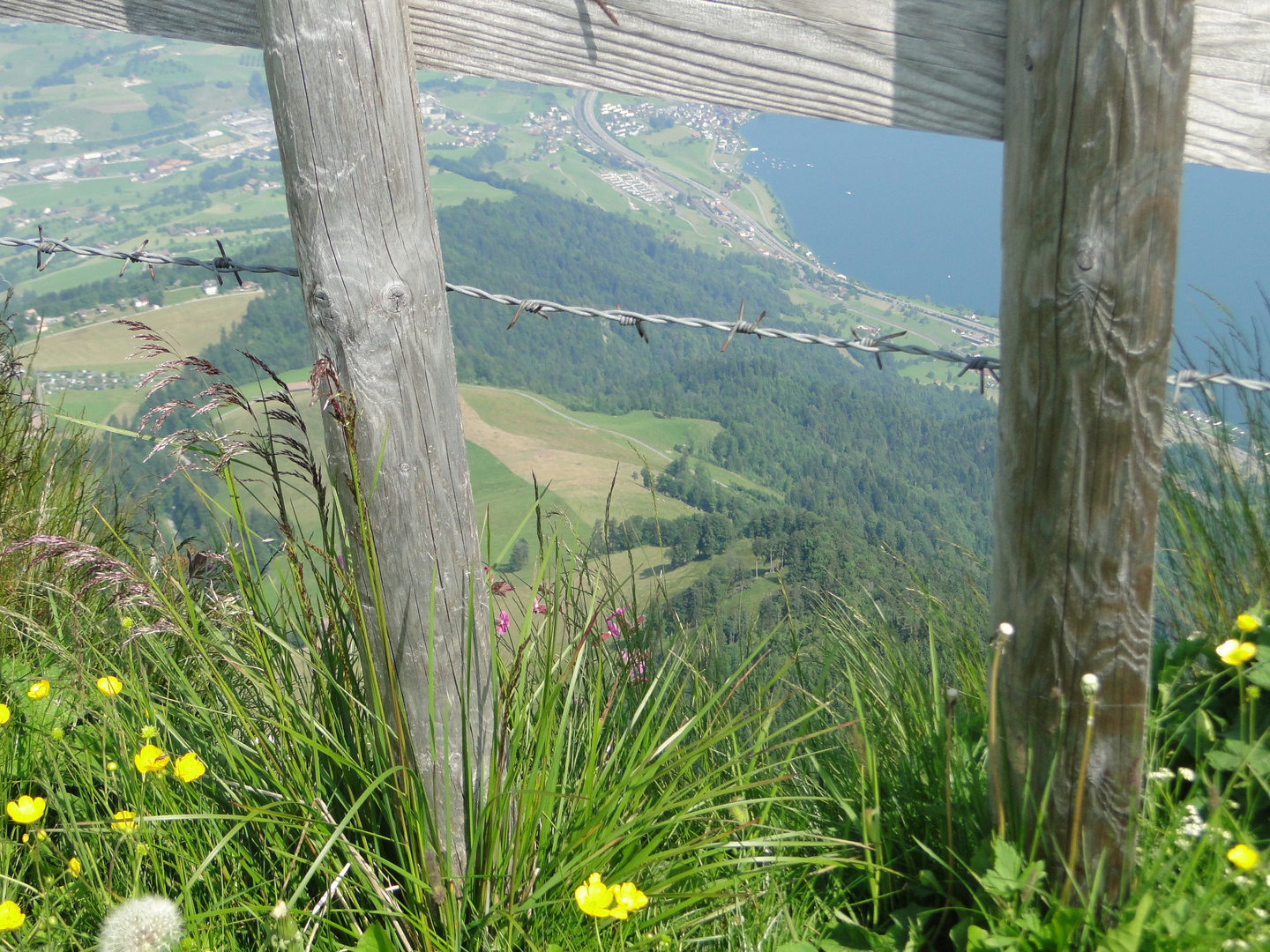 Die RIGI