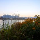 Die Rigi hinter dem Vierwaldstättersee ...