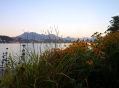 Die Rigi hinter dem Vierwaldstättersee ...