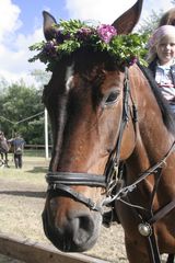 Die Ringreitersaison beginnt wieder