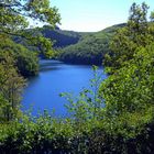 Die Riveris-Staustufe bei Trier