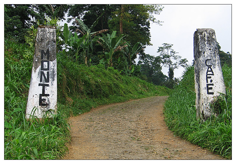 Die Roça Monte Café - São Tomé e Príncipe