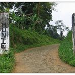 Die Roça Monte Café - São Tomé e Príncipe