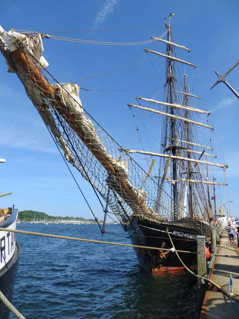 Die Roald Amundsen im Hafen von Eckernvörde