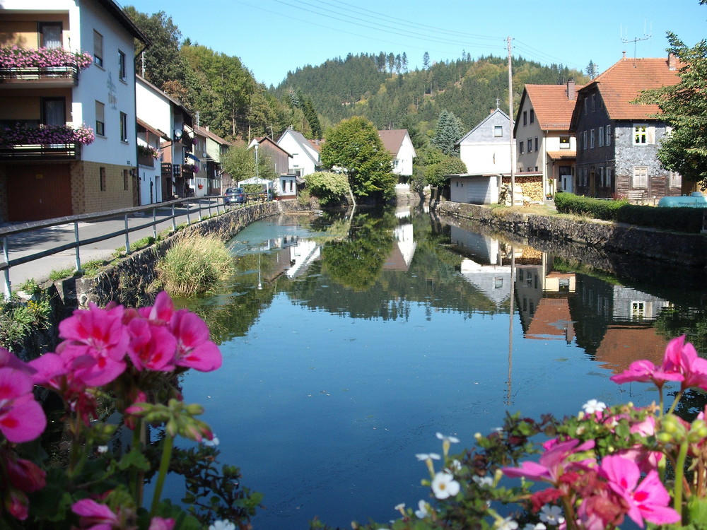 Die Rodach in Steinwiesen