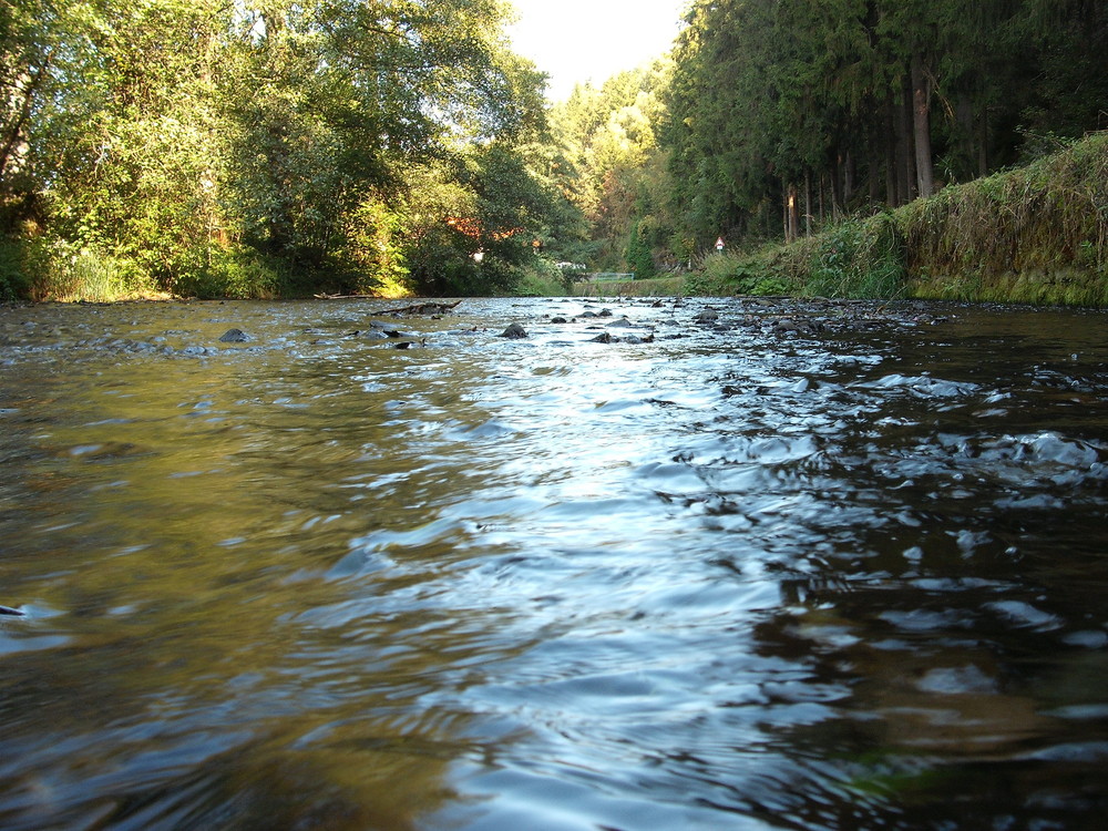 Die Rodach in Steinwiesen