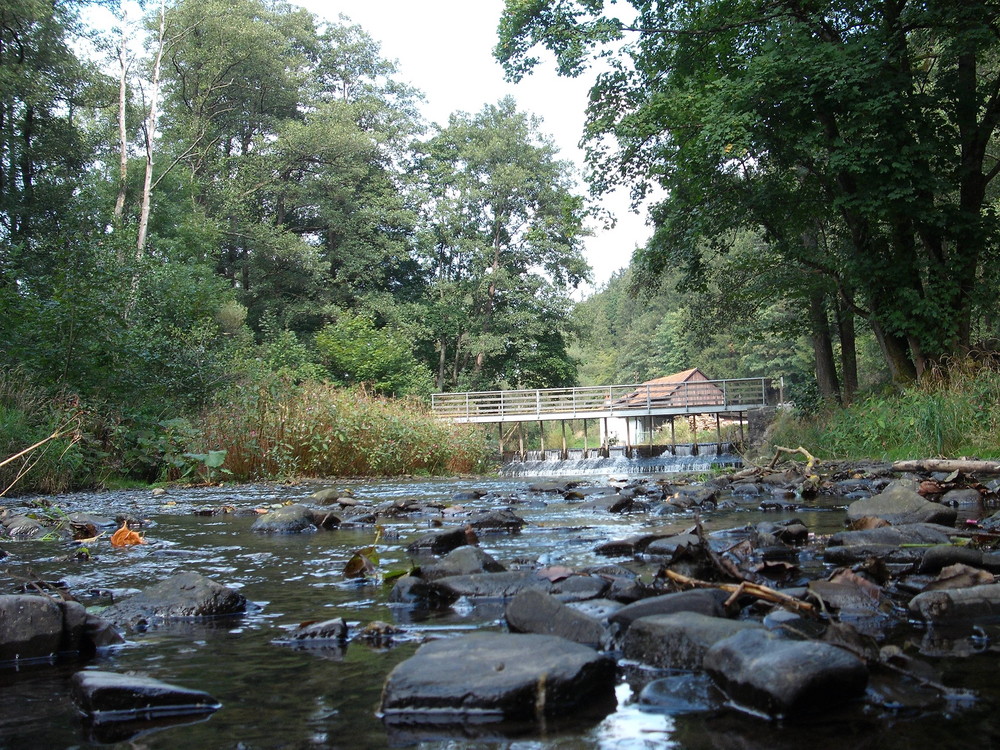 Die Rodach in Steinwiesen