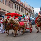 Die Röhmer sind auch beim Sachsen-Anhalt-Tag