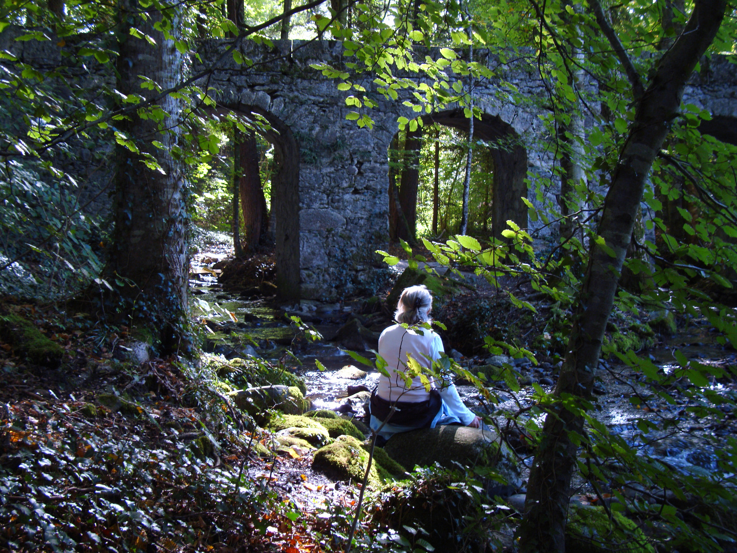 Die Römerbrücke im Wald