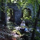 Die Römerbrücke im Wald