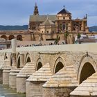 Die Roemerbruecke in Cordoba