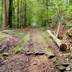 die römische straße in der teufelsklinge