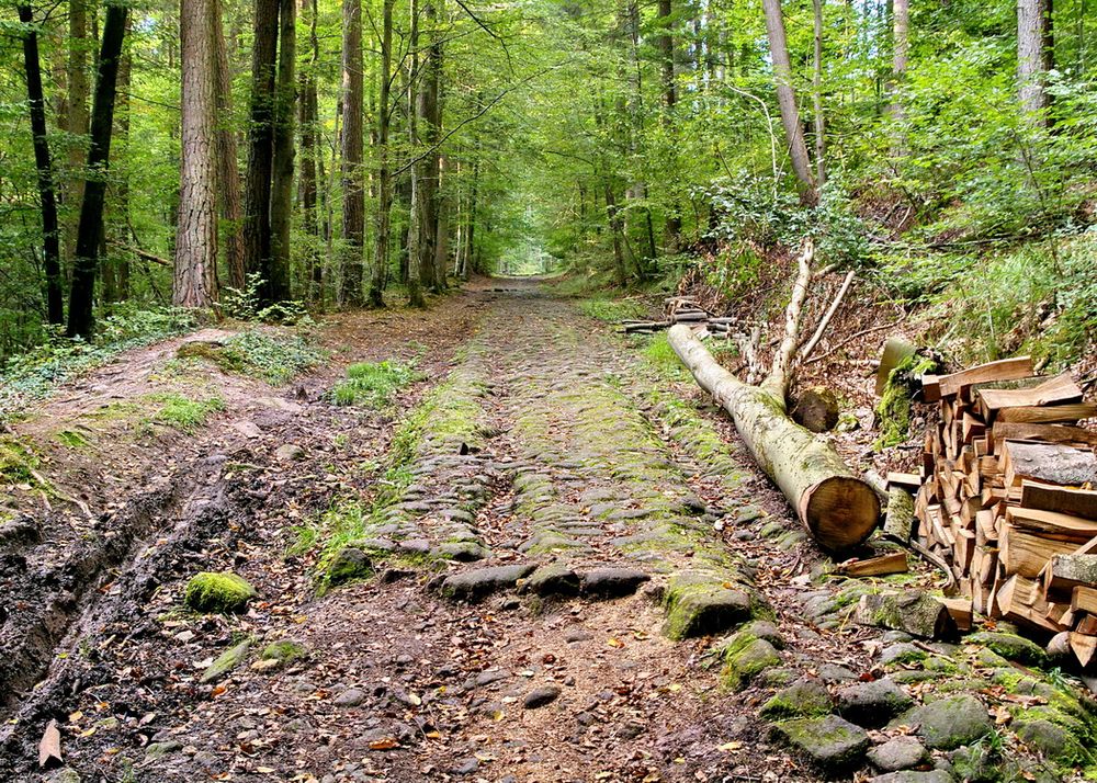 die römische straße in der teufelsklinge