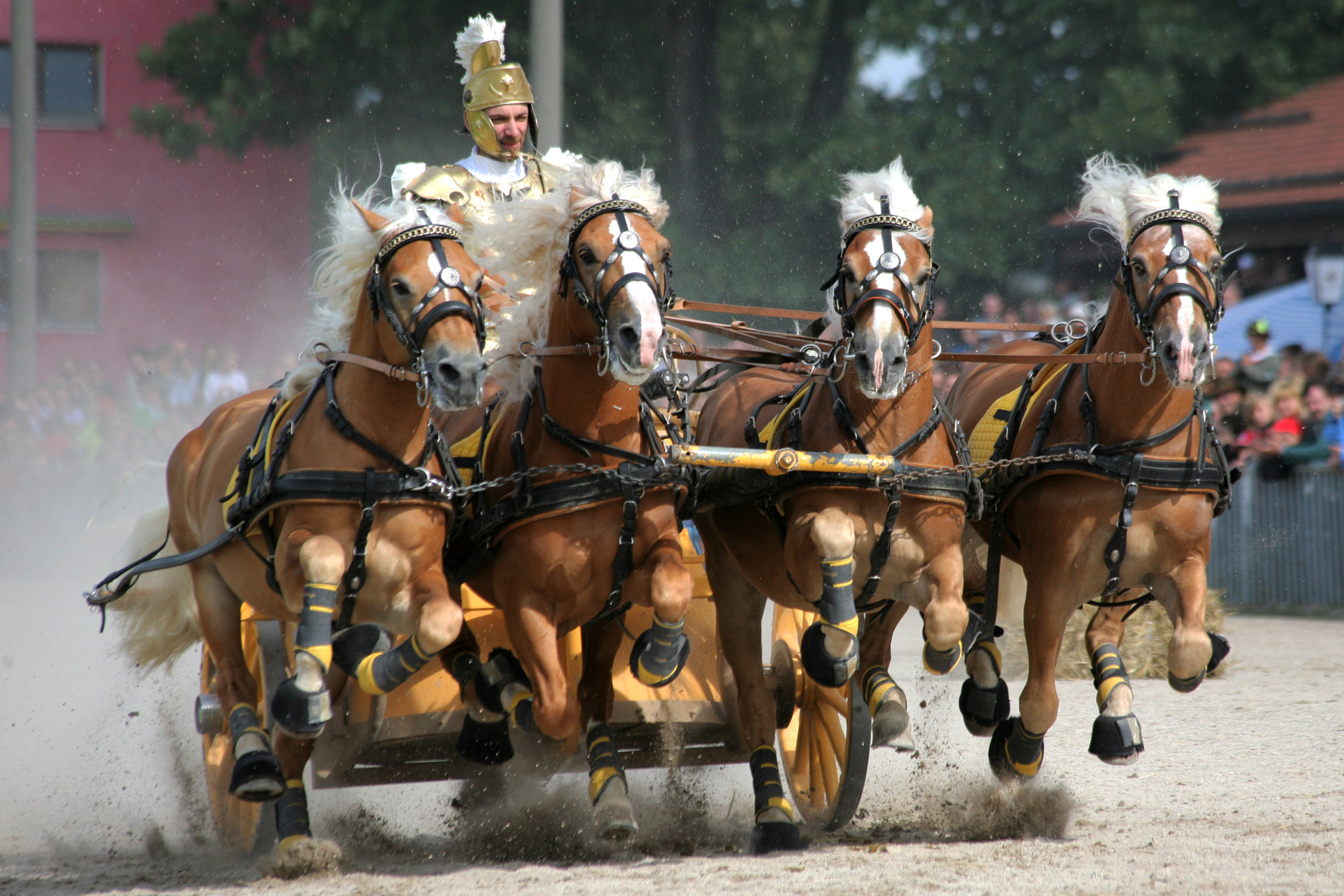 Die Römischen Kampfwagen in Straubing