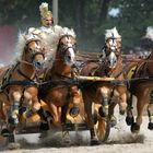 Die Römischen Kampfwagen in Straubing