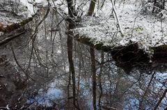 Die Röst im Winter