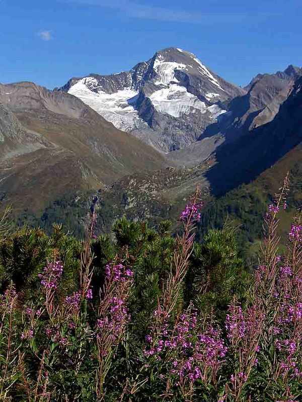 Die Rötspitze