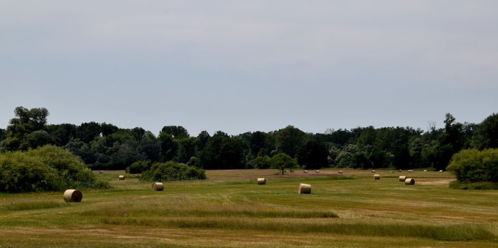 Die Rollen sind verteilt