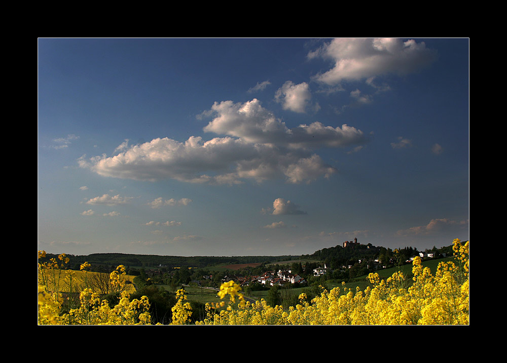 die Ronneburg und der Frühling