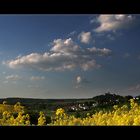 die Ronneburg und der Frühling