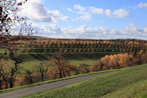 die Ronneburger Kanten