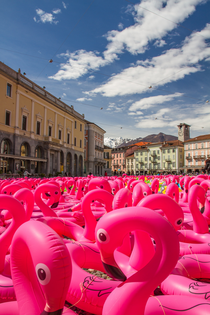 Die Rosaroten auf der Piazza zu Locarno - kp-112-Froschperspektive