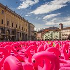 Die Rosaroten auf der Piazza zu Locarno - kp-112-Froschperspektive