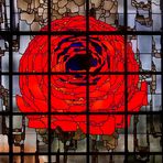 Die Rose - Fenster im Dom zu Velbert-Neviges