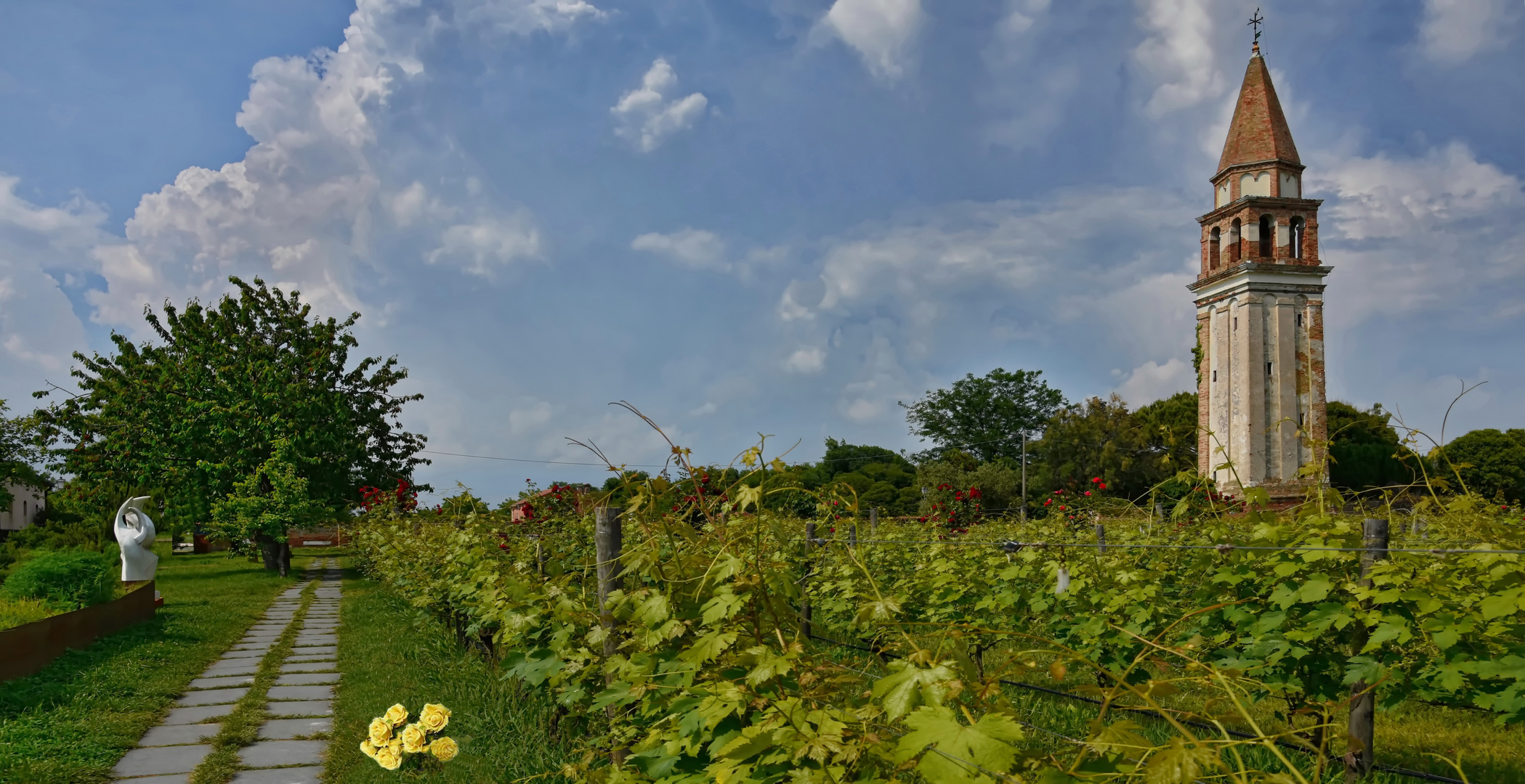 Die Rosen im Weinberg 