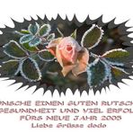 Die Rosenzeit ist vorbei........2004 ...auf ins neue Jahr