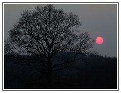 die rote Abendsonne