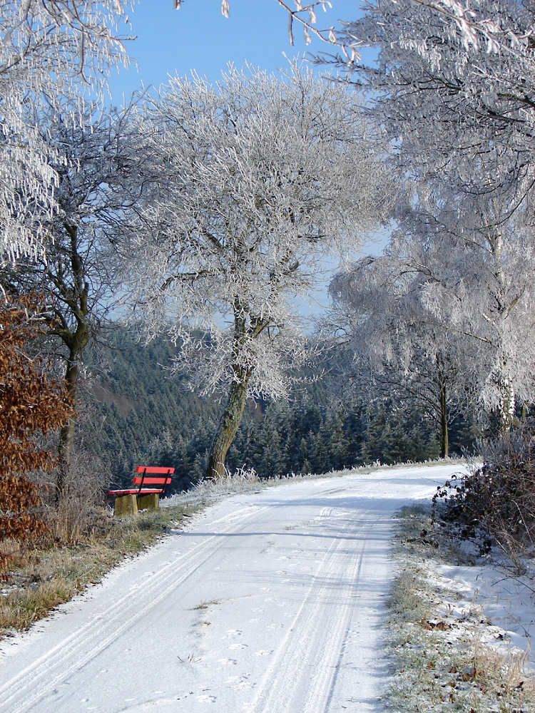 Die rote Bank  im Winter