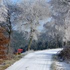 Die rote Bank  im Winter