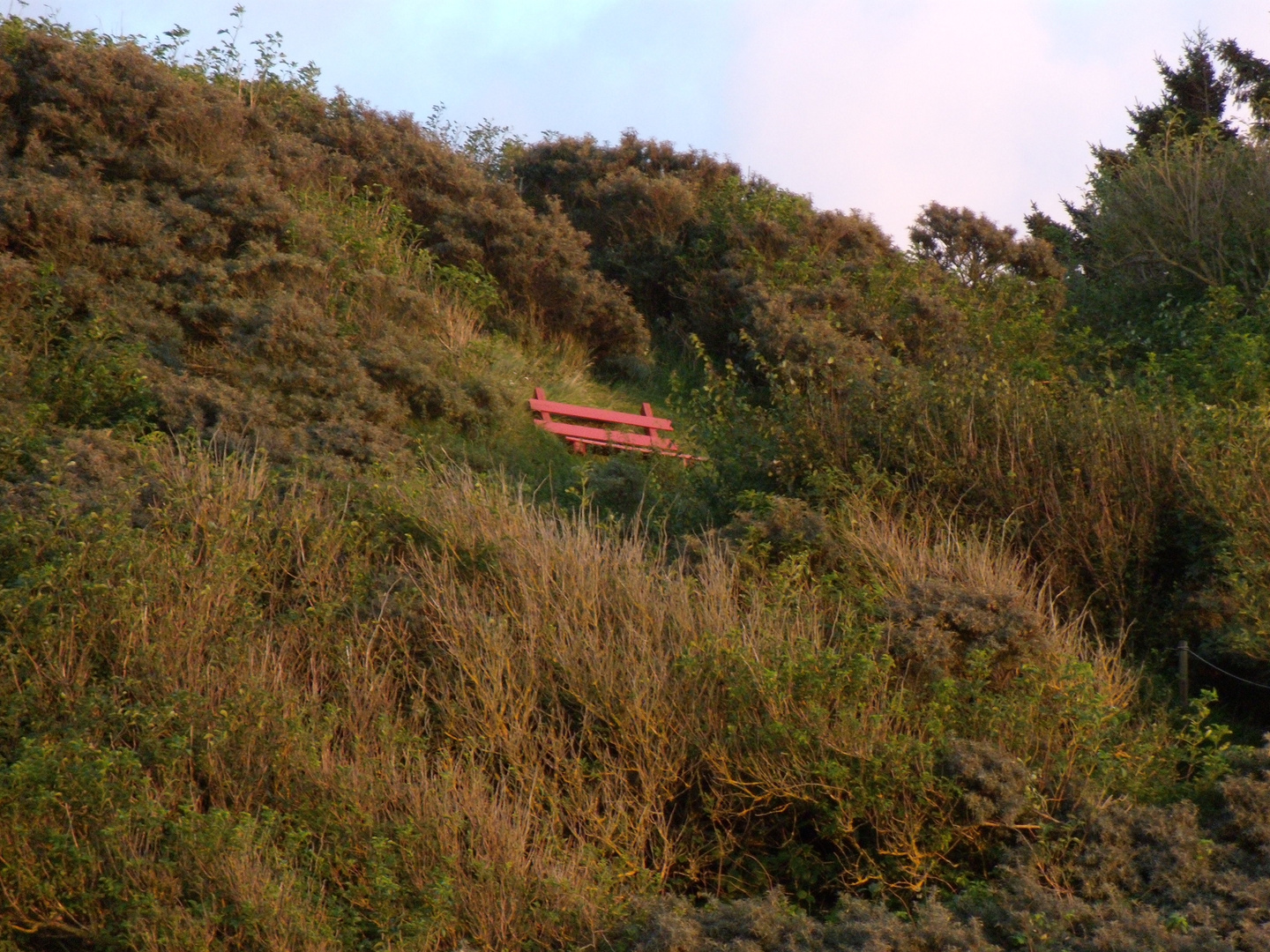 Die Rote Bank oberhalb von Harrerenden an dem Höhenzug zum Binnenland hin.