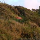 Die Rote Bank oberhalb von Harrerenden an dem Höhenzug zum Binnenland hin.