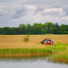 Die rote Blockhütte